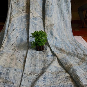 Puede incluir: Un textil grande con un patrón azul claro y blanco y un diseño cosido. Una pequeña planta en maceta con hojas verdes se encuentra en el textil. El textil está drapeado sobre una superficie.