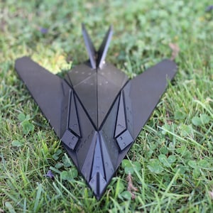 May include: A black paper or cardboard model of a stealth fighter jet, resting on a patch of green grass.