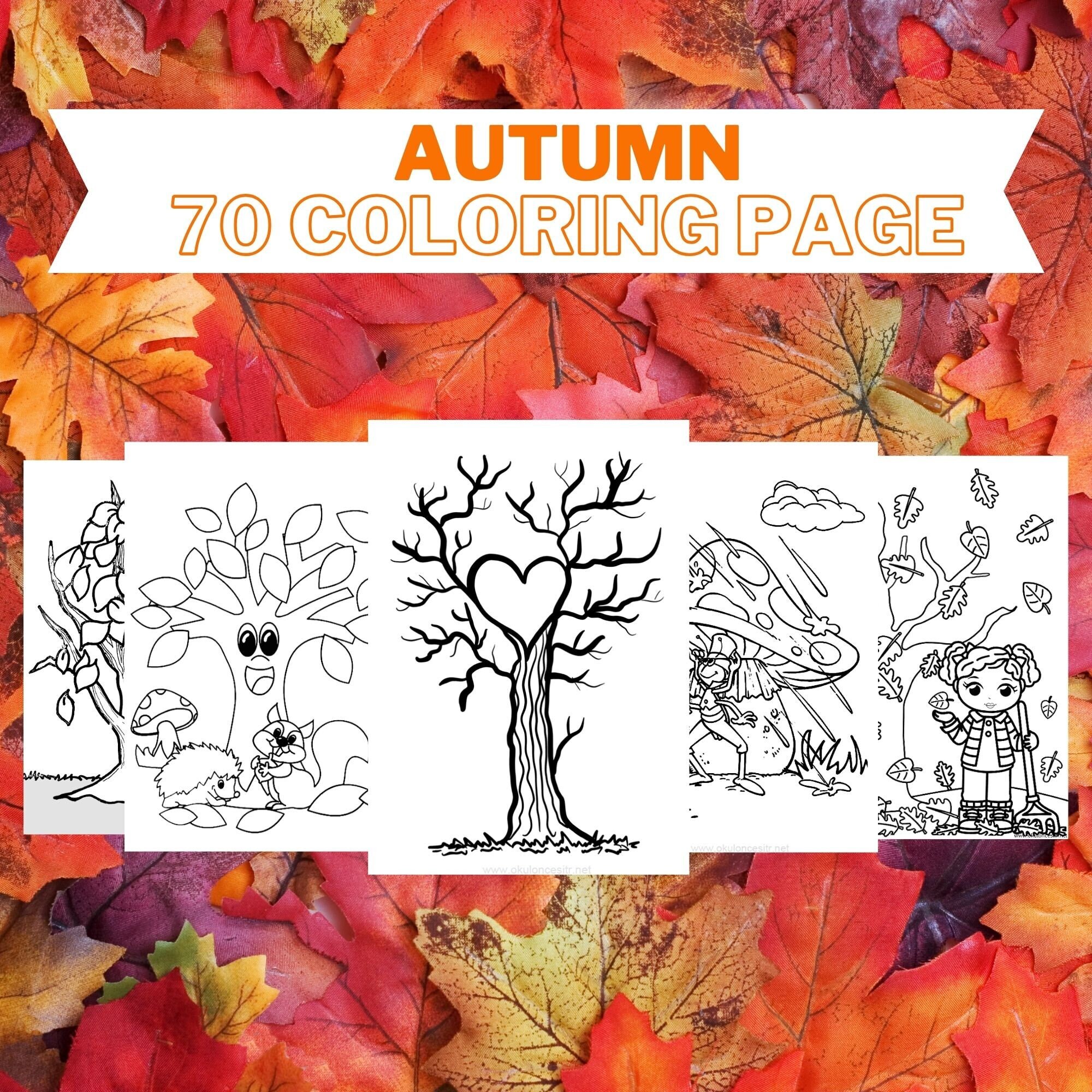 70 Beautiful Autumn Coloring Book for Preschool and Kindergarten Kids ...