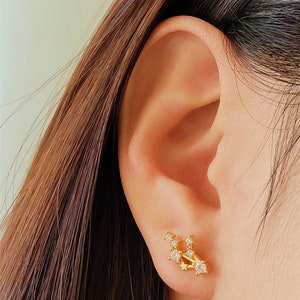 zodiac earring