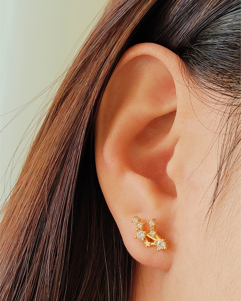 zodiac earring