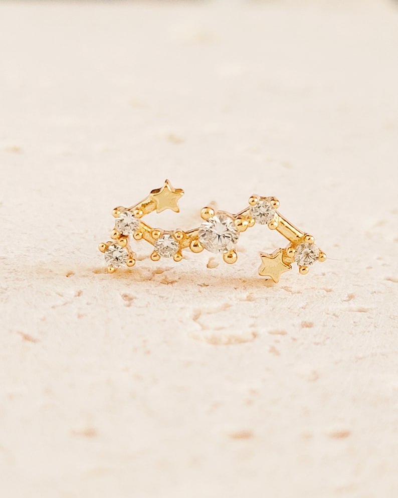 constellation zodiac earrings