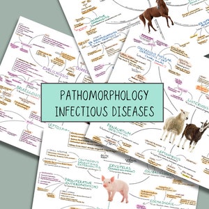 Patología veterinaria - enfermedades infecciosas