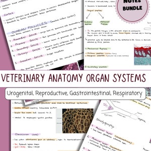 Könnte beinhalten: Detaillierte Notizen zur Veterinäranatomie, einschließlich Organsystemen wie Urogenital-, Reproduktions-, Magen-Darm- und Atmungssystem. Das Bild zeigt handschriftlichen Text, Diagramme und anatomische Illustrationen.