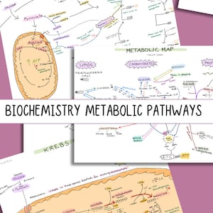 Biochemistry - metabolic pathways
