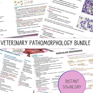 May include: A colourful veterinary pathology bundle with the title "Veterinary Pathomorpholoy Bundle" in large, bold, white letters. The bundle includes a variety of topics, including vascular disorders, circulatory and lymphatic disturbances, and thoracic cavity. The text is in a white font on a blue background. The image also includes a red circle with the text "Instant Download!" in white.