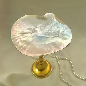 Mother of Pearl Shell Tray – Coastal Wedding Ring Dish, Beach Decor Holder