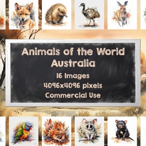 Wildlife Art Prints Animals of Australia - Instant Download | Watercolors