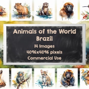 Wildlife Art Prints Animals of Brazil - Instant Download | Watercolors