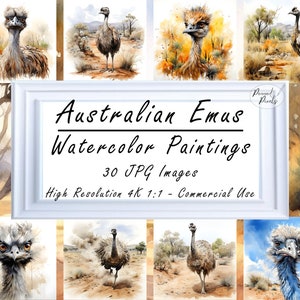 Australian Emus - Wildlife Art Prints Animals of Australia - Instant Download | Watercolors -Cute Emu Artwork , Australian Amphibians