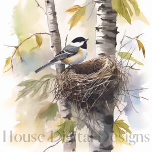 Mésange, bouleaux arbres aquarelle Portraits Illustration, mésange à tête noire, fabrication de cartes, Clipart bundle, JPG, téléchargement numérique
