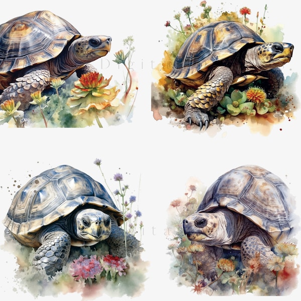 Tortoise Watercolor PNG, Tortoise Clipart, Instand Download PNG, Commercial Use, Tortoise Lover, Reptile PNG Clipart, Reptile Art