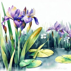 Watercolor Iris Blooms, Iris watercolor digital art,  Watercolor irises PNG art, Iris print-on-demand download, Iris graphic digital PNG