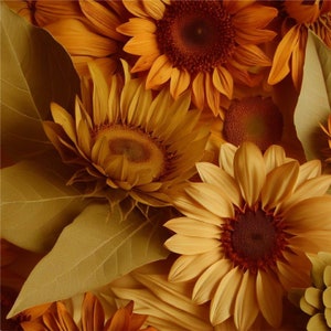 Vintage Sunflower Clipart, antique  yellow sunflowers in PNG format instant download for commercial use