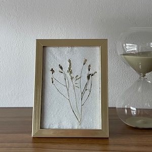 Immagine di fiori veri su carta fatta a mano, fiori di campo, ibisco/carta decorata, fiori secchi circa. Formato A5