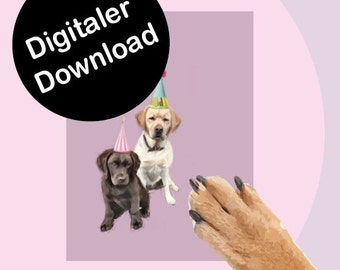 Congratulations card, birthday card, dog, labrador, postcard, digital card