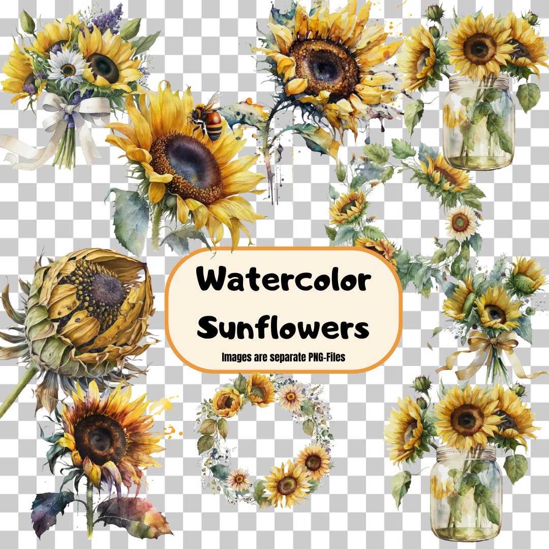 Watercolor Sunflowers Clipart Fall Sunflower Floral Bouquets in PNG ...
