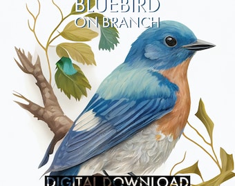 May include: A digital print featuring a bluebird on a branch, with the text "BLUEBIRD ON BRANCH" and "DIGITAL DOWNLOAD". The bird's plumage is blue, orange, and white. The branch and leaves are in shades of brown and green, set against a white background.