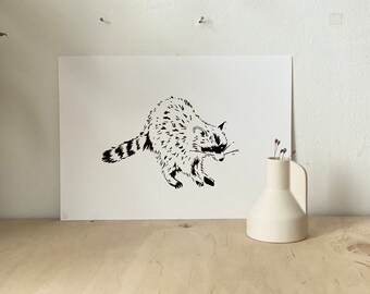 Raccoon - Screenprint - Original prints signed - DIN A4