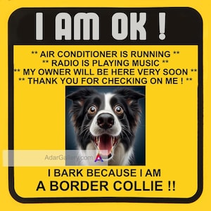 Panneau mural OK personnalisé chien à bord | Utilisez la photo de votre chiot ou la nôtre | Panneau I'm OK pour pare-brise de voiture| Panneau pour chien Je vais bien | Plus de 50 races !