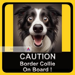 BORDER COLLIE ! |  Stickers « Chien à bord » | Stickers chien pour voiture | Les conducteurs derrière se souviendront de votre autocollant |