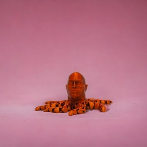 Può includere: Una scultura stampata in 3D di una testa umana con un'espressione seria, attaccata al corpo di un polpo con tentacoli a strisce arancioni e nere.
