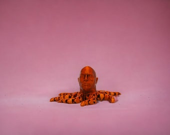 FlexiRock Octopus Fidget Toy: Dwayne Johnson PLA Stim Toy