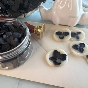 Petali di ortensia essiccati - Nero / Elegante decorazione floreale con sigillo di cera, buste e artigianato fai da te