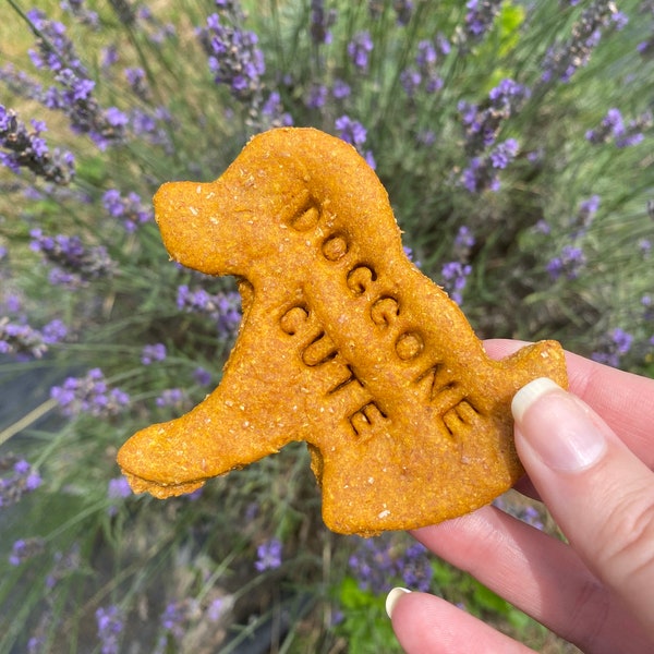 Doggone Cute Signature Dog Treats, treats for dogs, personalized dog treats, homemade dog treat, healthy dog treats, high value dog treat