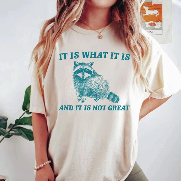 It Is What It Is And It Is Not Great Shirt, Vintage Comfort Colors Shirt, Raccoon Meme Shirt, Funny Trash Panda Shirt, Unisex Tee