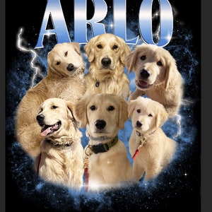 Puede incluir: Dise&ntilde;o gr&aacute;fico con seis perros golden retriever y el nombre "ARLO" en texto grande, azul claro y estilizado en la parte superior. Los perros est&aacute;n dispuestos en un patr&oacute;n circular sobre un fondo azul oscuro y negro con rayos.