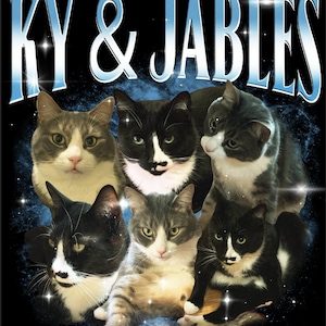 Puede incluir: Gr&aacute;fico con seis gatos de varios colores y patrones sobre un fondo estrellado. El texto "KY & JABLES" est&aacute; arqueado en la parte superior en una fuente azul claro estilizada. Las caras de los gatos son el foco principal.