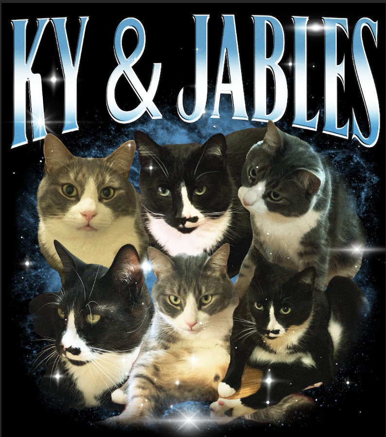 Puede incluir: Gr&aacute;fico con seis gatos de varios colores y patrones sobre un fondo estrellado. El texto "KY & JABLES" est&aacute; arqueado en la parte superior en una fuente azul claro estilizada. Las caras de los gatos son el foco principal.