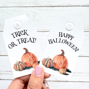 Pumpkin Halloween Party Favor Tags - Set of 20 (10 of each) Treat Bag Labels for Autumn Celebrations