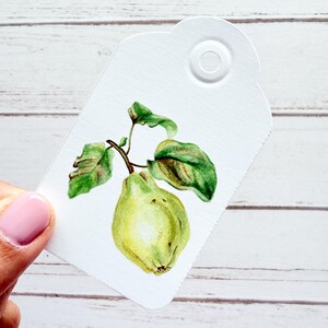 Etiquetas para regalo de membrillo: Juego de 20 etiquetas de acuarela de frutas raras para mermeladas, recuerdos, copas de vino y tarjetas de agradecimiento.