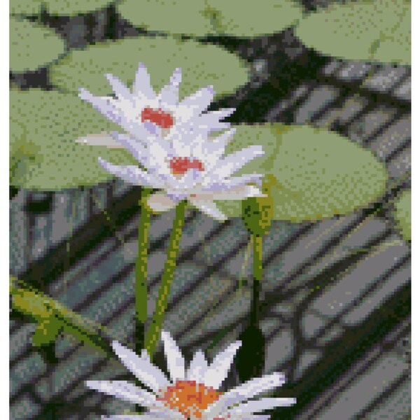 Lilies at Kew Cross Stitch Pattern