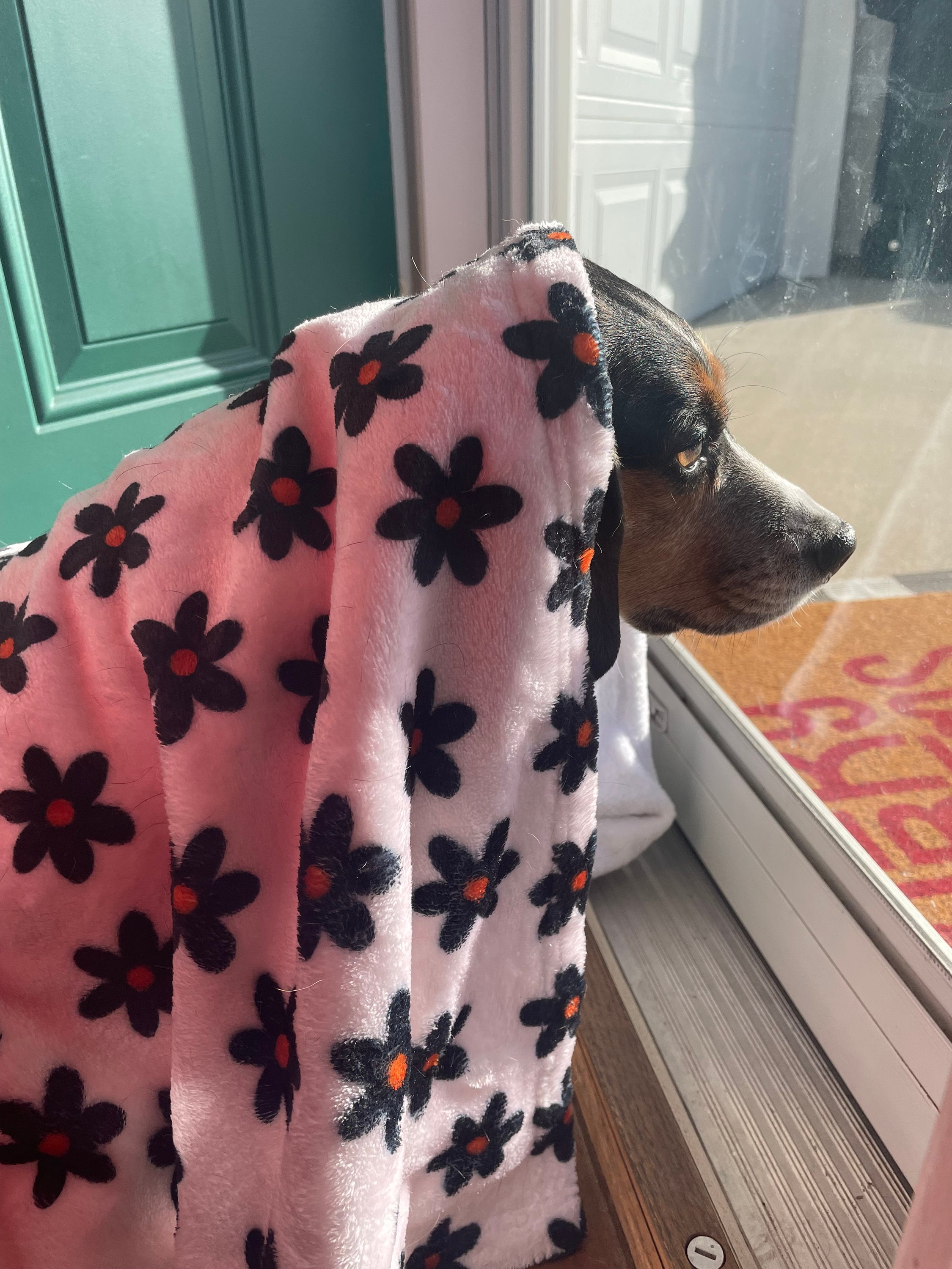 Untearable dog blanket new arrivals