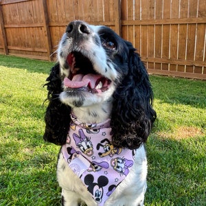 Dis100 Bandana