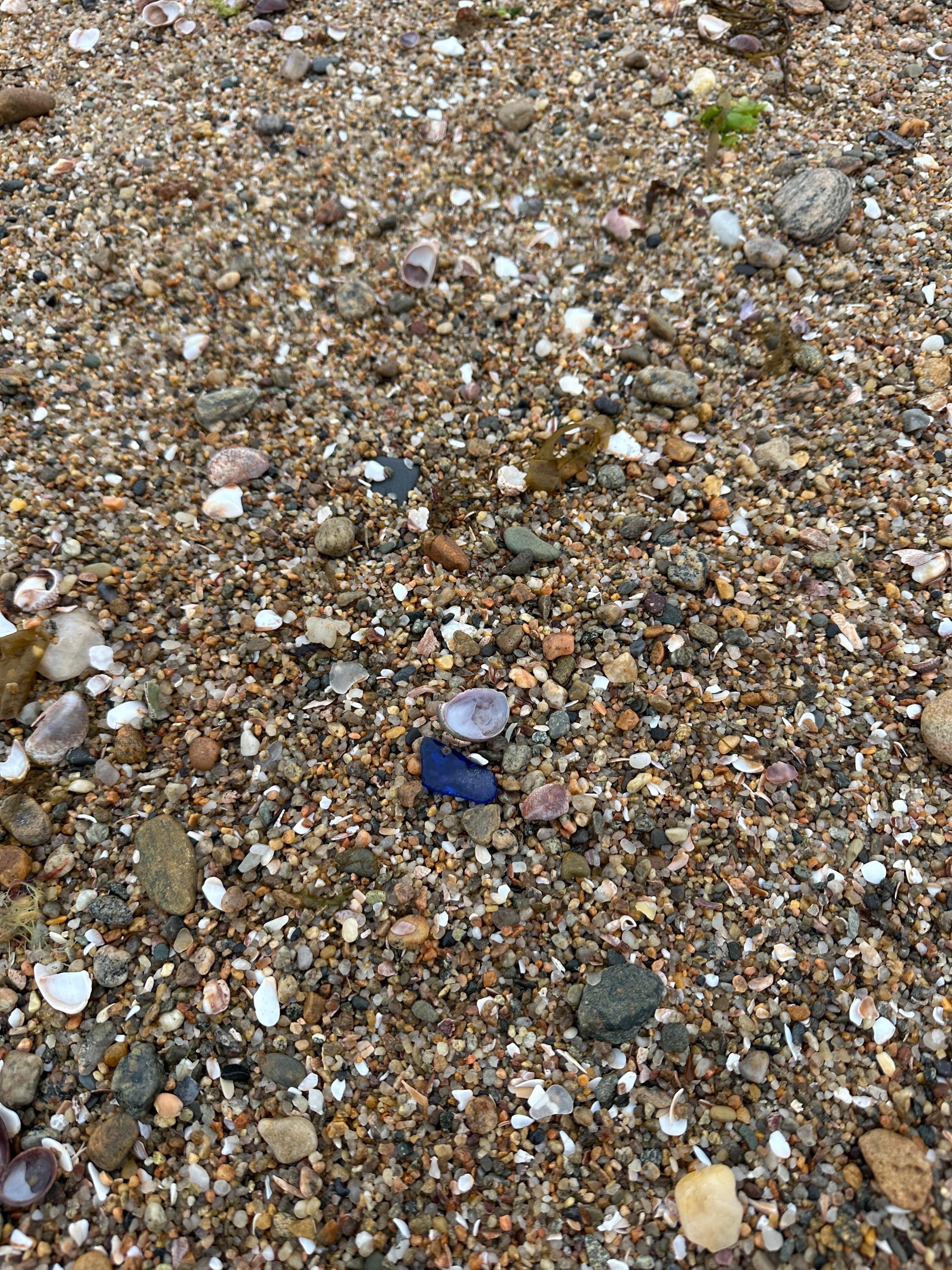 Cape Cod Cobalt Blue Sea Glass | RARE Genuine Beach Glass | Tiny Small ...