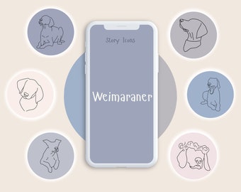 Weimaraner Dog Instagram Story Highlight Covers, Dog Instagram Story Highlight Icons, Dog Instagram Story Highlights, Weimaraner Puppy