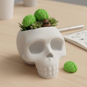 May include: A white skull-shaped planter with a textured surface, filled with green brain-shaped objects, small succulents, and a poop emoji wearing sunglasses. A single green brain sits beside the planter. A unique decorative item.
