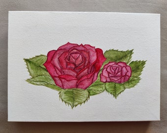 Red rose watercolour painting