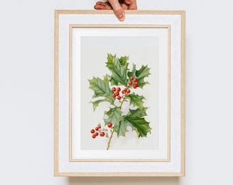 December Birth Month Flower - Holly - Vintage Floral Botanical Illustration - Printable Download