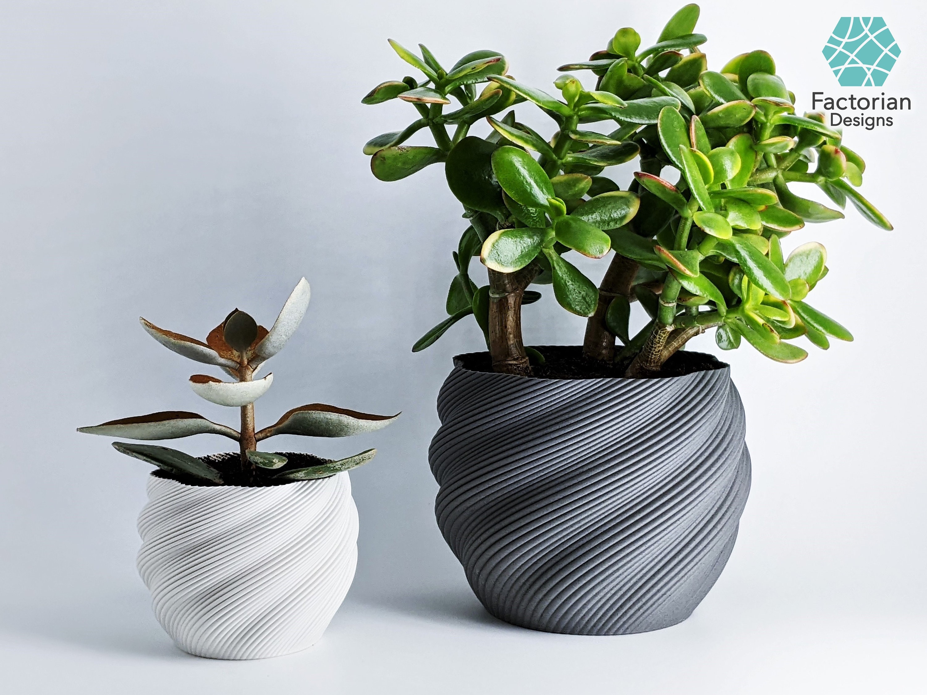 3D Druck Datei STL Pack Homedecor 3D Bundle Vase, Eierbecher