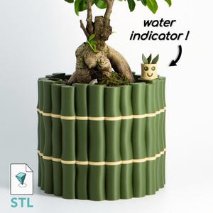 Puede incluir: Una maceta verde con forma de bambú con un bonsái. La maceta tiene una banda de color beige claro en el medio. Un pequeño indicador de agua sonriente está al lado del árbol. El texto "water indicator!" está encima del indicador. Las letras "STL" están en la parte inferior.