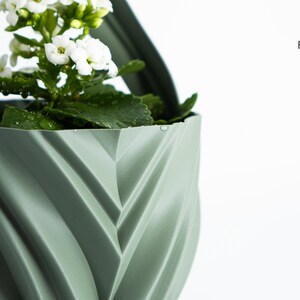 K&ouml;nnte beinhalten: Nahaufnahme eines salbeigr&uuml;nen, geometrischen Pflanzgef&auml;&szlig;es mit einer wei&szlig; bl&uuml;henden Pflanze. Der Pflanztopf hat ein einzigartiges, strukturiertes Design. Die Pflanze hat gr&uuml;ne Bl&auml;tter und kleine wei&szlig;e Bl&uuml;ten. Das Factorian Designs-Logo befindet sich oben rechts.