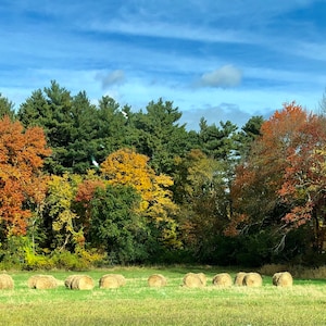Autumn in New England