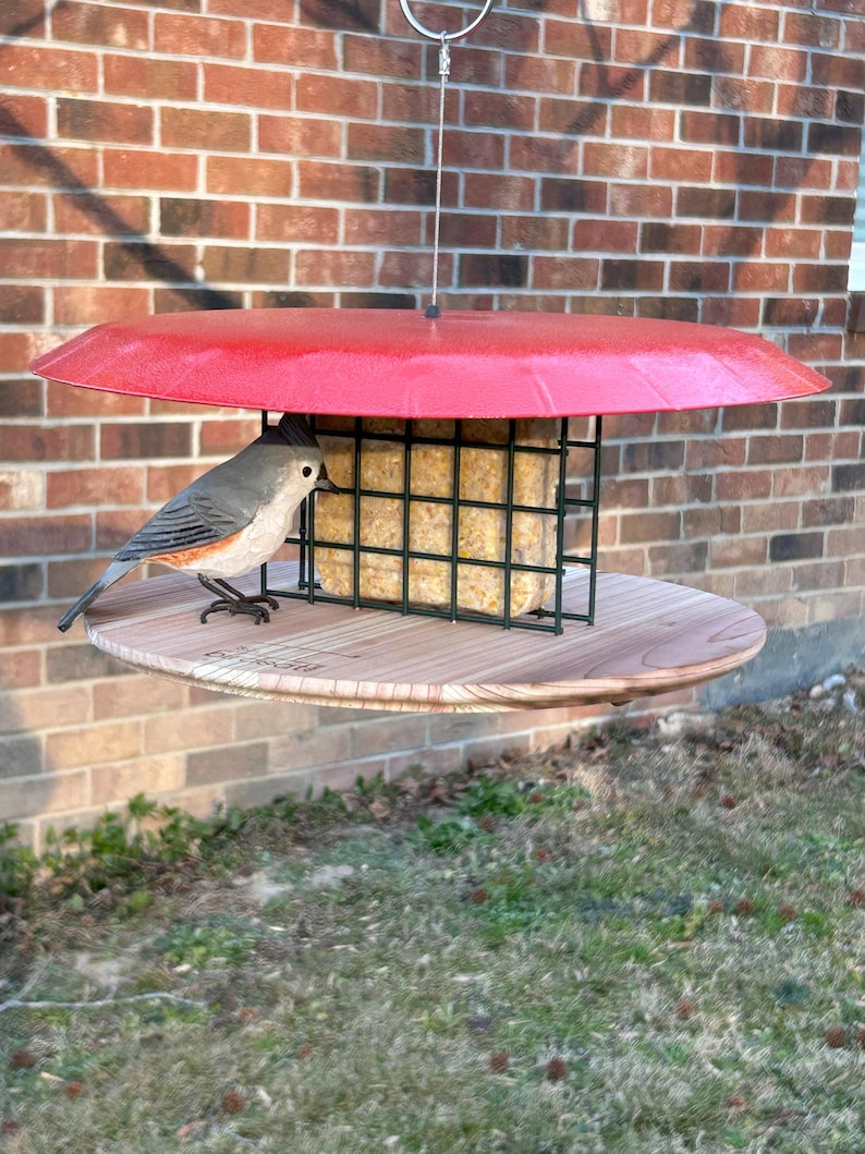 Rectangular Suet Birdeat Suet Feeder - Etsy