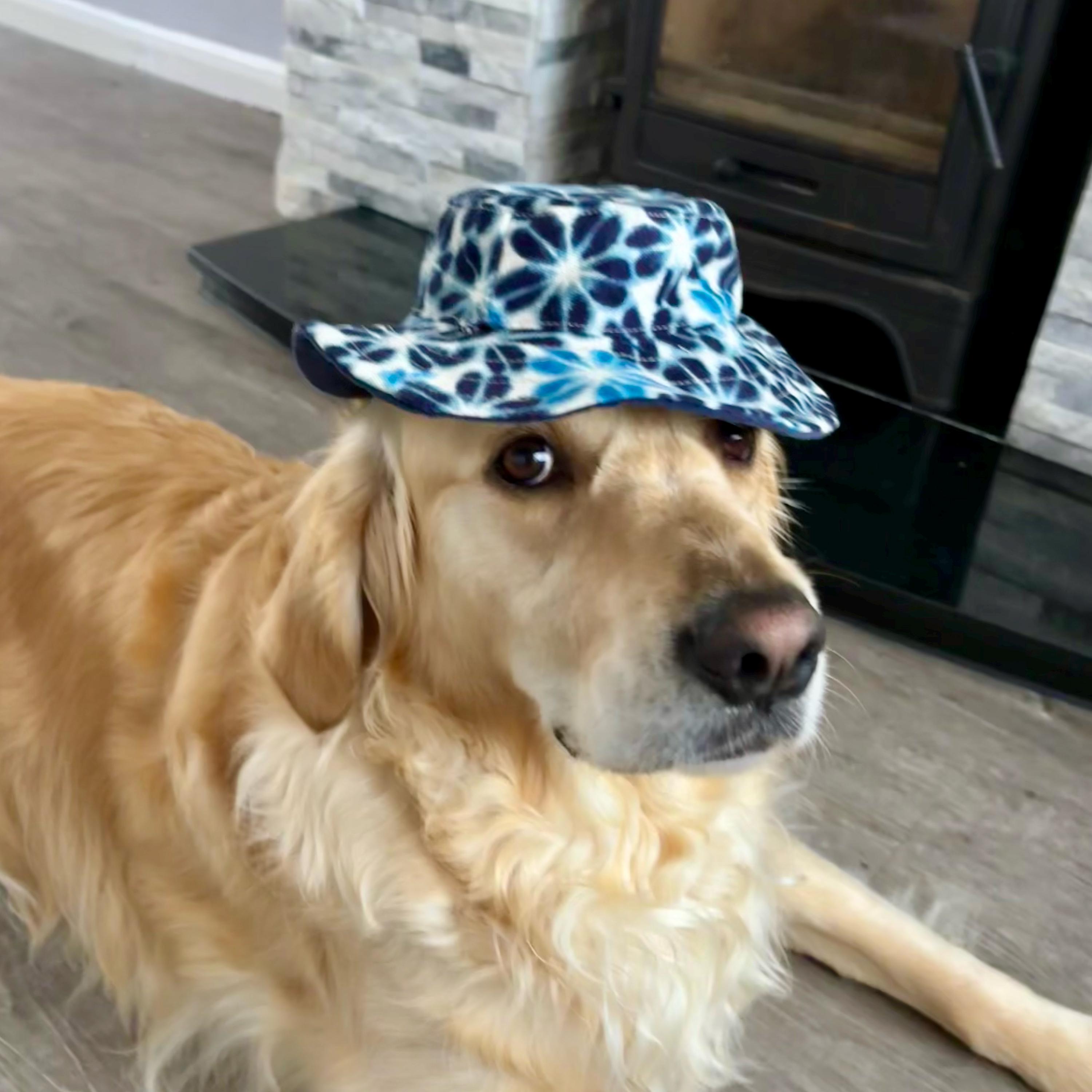 Reversible Doggy Bucket Hat, Woof Wear, Two-in-One Pet Accessory,  Fashionable and Functional Pet Hat blue flowers