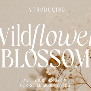 Wildflower Blossom - Retro Serif Font, Elegant Font, Canva Font, Modern Font, Boho Font, Logo Font, Groovy Font, Silhouette Font